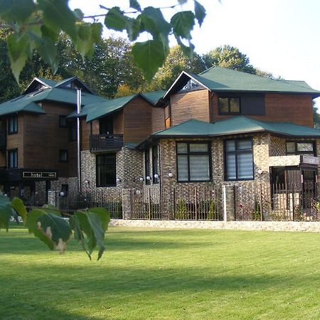 Hotel Hillden Lodge&Restaurant Drumu Carului Extérieur photo