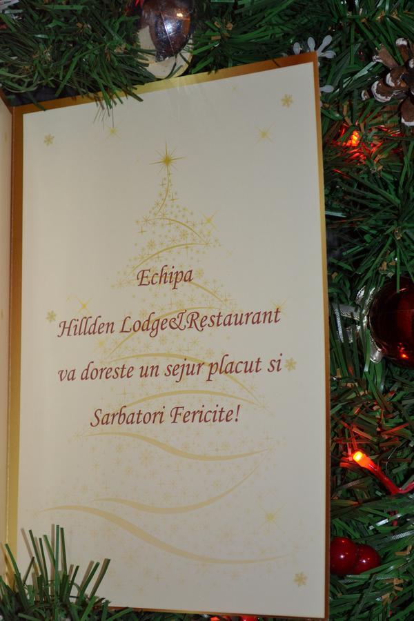 Hotel Hillden Lodge&Restaurant Drumu Carului Extérieur photo