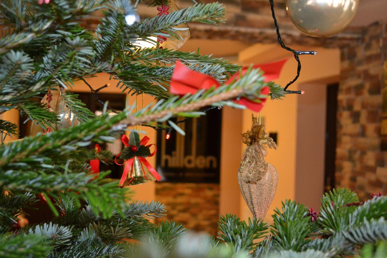Hotel Hillden Lodge&Restaurant Drumu Carului Extérieur photo